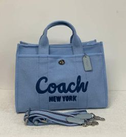 Picture of Coach Lady Handbags _SKUfw153934395fw